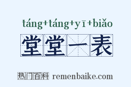 堂堂一表是什么意思的图片